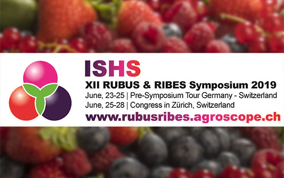 ISHS Teaser